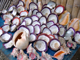 Artesania